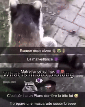 Il prépare une mascarade sombre, malveillance max, excuse nous aizen