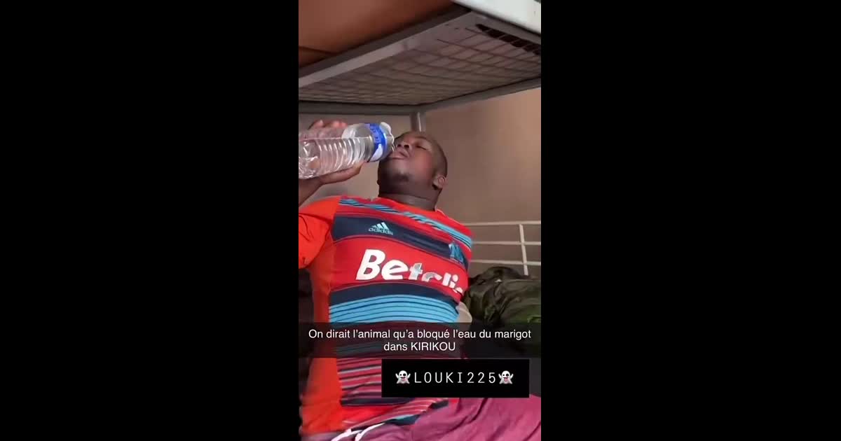 On dirait l'animal quia bloqué l'aue du marigot dans kirikou