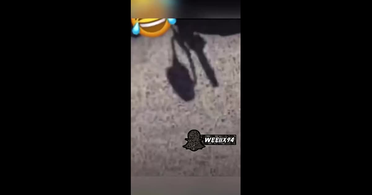 Votre numero de téléphone, 07 mes couilles noires sa mere c'est bon ou pas contravention amende