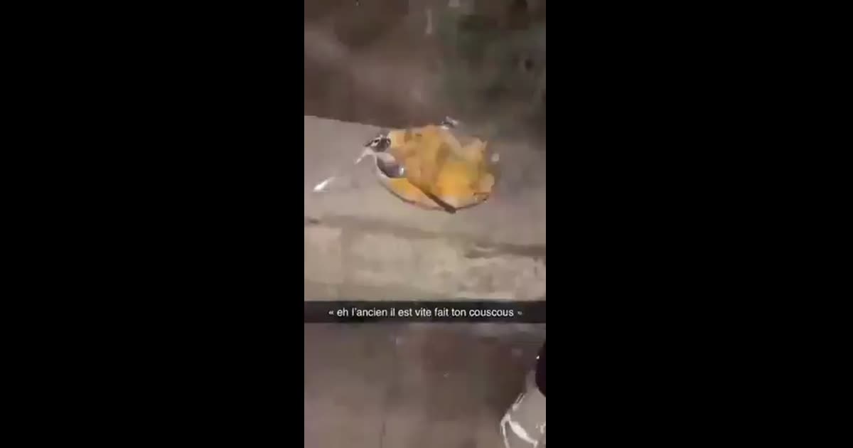 Eh l'ancien il est vite fait ton couscous