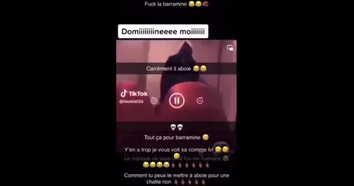 Domine moi carrement il aboie comment t'aboie pour une chatte